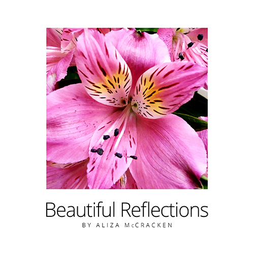Beautiful Reflections - book cover